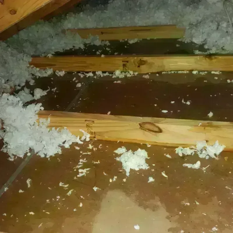 Attic Water Damage in Oak Ridge, NC