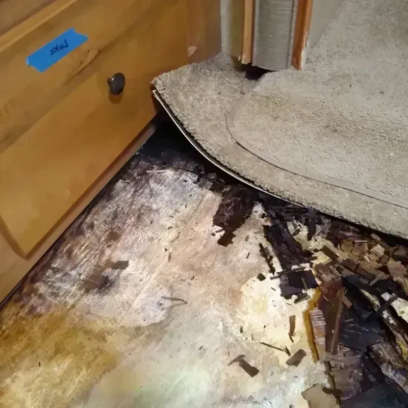 Wood Floor Water Damage in Oak Ridge, NC